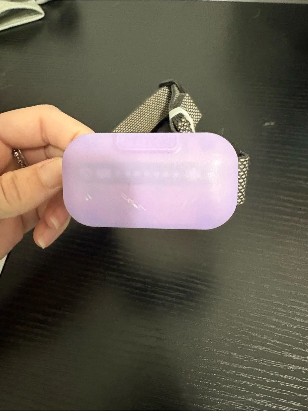 Purple Dog Training Collar Remote and Receiver